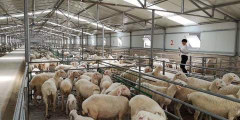 【決戰脫貧攻堅 決勝全面小康】79歲老黨員的脫貧之路