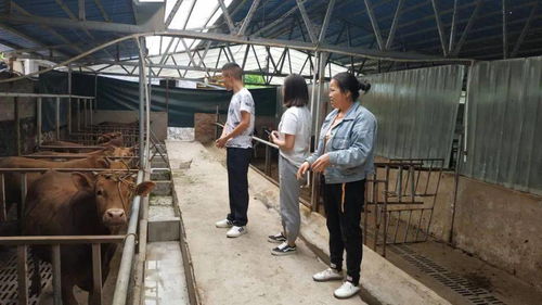 每日工作圖文播報