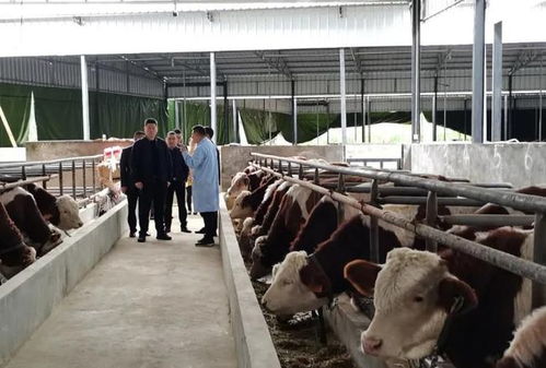 來啦 閬中新冠疫苗加強針開打 這些地方可接種