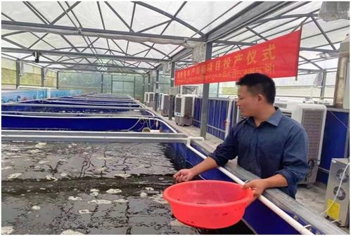 墨脫縣工廠化水產(chǎn)養(yǎng)殖試點項目取得階段性成果