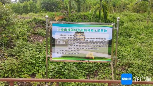 全國首批榴蓮碳足跡標識認證證書在三亞頒發