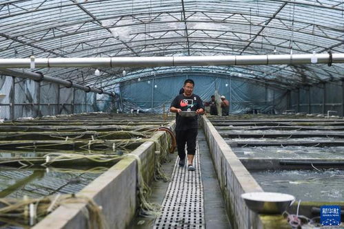 浙江湖州 水產養殖育苗忙