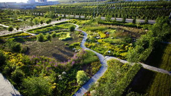 和林格爾特色產業鏈之蒙草生態