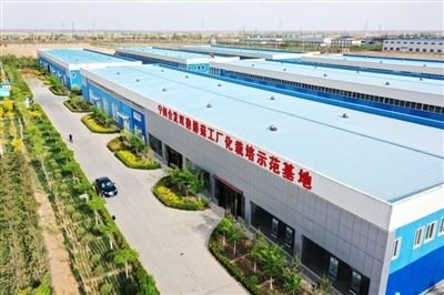 撐起移民 致富傘