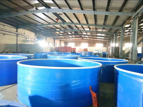 給力 新港省級現代農業園區兩大項目初具規模