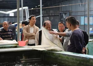 赤水鎮(zhèn)人民政府門戶網(wǎng)站