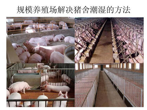 養殖場除濕機,養殖場除濕設備,養殖場除濕辦法