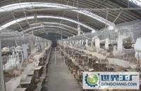 肉鴿產業化示范基地/種鴿養殖基地_農副產品_世界工廠網中國產品信息庫