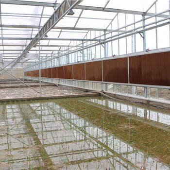 浙江麗水青蛙養殖基地大棚、10米頂高陽光板溫室大棚建設廠家