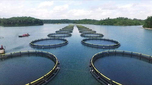 劉榮杰 自貿港政策帶來發展新契機