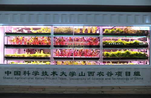山西農谷 發揮集聚效應 打造現代農業創新高地