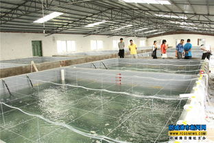 東興一養殖基地探索工廠化養殖模式