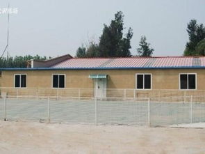 圖 養不死是王道 名寵基地直銷阿拉斯加犬 保健康送用品 深圳寵物狗