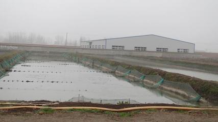 蚯蚓吃豬糞,這家豬場老板靠豬糞賺爆了