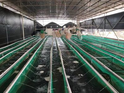 鄉村振興丨大力發展現代農業 升級鄉村振興&ldquo;引擎&rdquo;