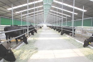 西青區互看互比互學活動項目點位簡介(圖)