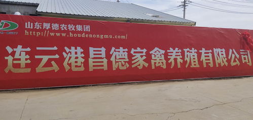 重要新聞 南通通州區連云港贛榆區南北企村掛鉤結對 開花結果 南通雙和食品贛榆昌德養殖基地落戶贛榆區