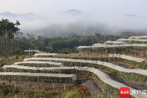 瓊中舉辦2024年首次基層黨建工作現場會 探討紅毛鎮全域旅游好經驗