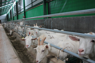 打造云南羊奶粉綠色生態品牌