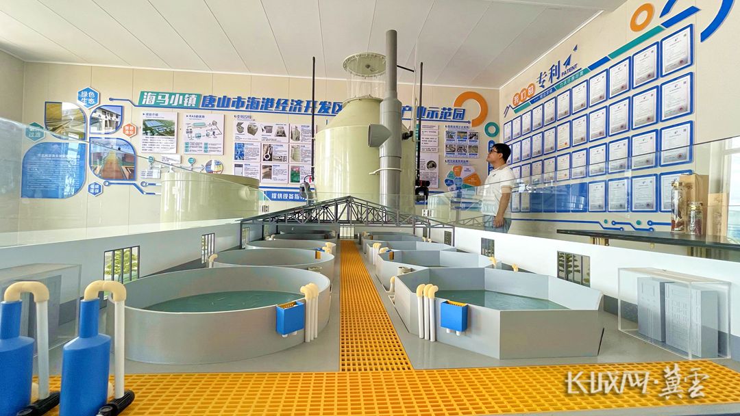 三中全會精神在基層丨唐山:智慧漁業(yè)賦能綠色養(yǎng)殖