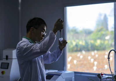 農(nóng)發(fā)投:精準(zhǔn)招商 努力打造田園經(jīng)濟(jì)共同體