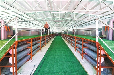 贛南日報數(shù)字報刊發(fā):智慧養(yǎng)魚促振興