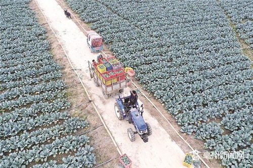 走出去 引進來 ,繪就擴大開放新格局