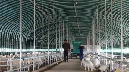 金昌錨定農業強市目標全力助推鄉村產業振興