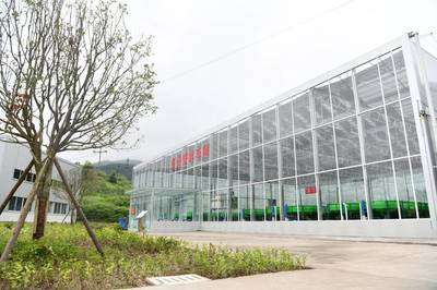 小龍蝦住進智能化工廠 四川大竹“稻蝦共養”畝均效益近萬元