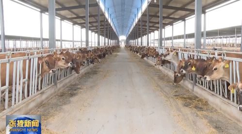 張掖助企渡疫時(shí)難關(guān) 57省市列重大項(xiàng)目完成投資近百億鳳凰網(wǎng)甘肅 鳳凰網(wǎng)