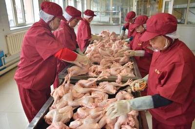 企業(yè)家 | 老君爐燒雞的故事