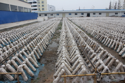 隨州市曾都區(qū)三里崗鎮(zhèn)吉祥寺村