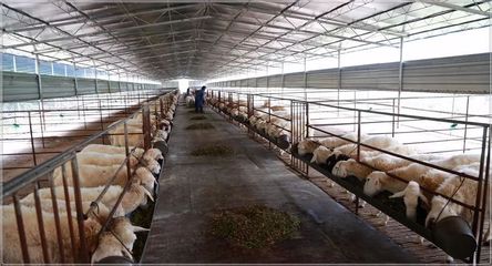 聚焦|農(nóng)生文在忻城強(qiáng)調(diào):選準(zhǔn)做大特色產(chǎn)業(yè),努力推動(dòng)扶貧工作再上新臺(tái)階