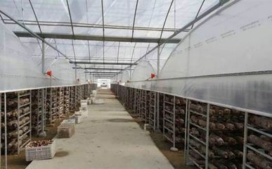 河南伏牛山百菌園:菌類產(chǎn)品的養(yǎng)殖基地