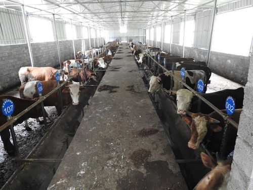 七星關區撒拉溪鎮全面深化改革工作交出滿意答卷