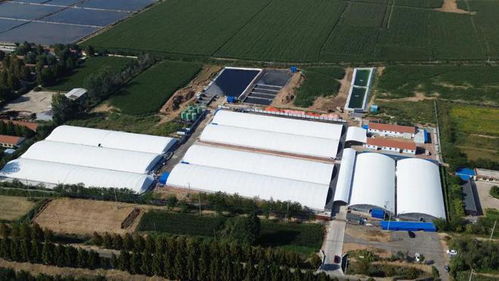 營里鎮(zhèn) 擂響奮進 催征鼓 跑出發(fā)展 加速度