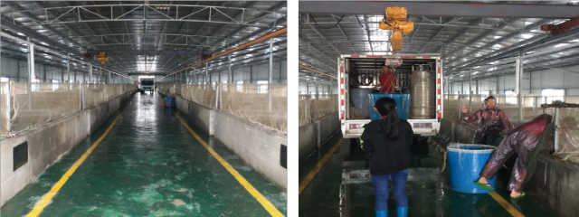 年產(chǎn)值近35億元!南沙漁業(yè),灣區(qū)的靚麗名片