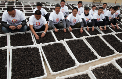 拼多多12.12“全民真香節(jié)” 發(fā)力農(nóng)產(chǎn)品品質(zhì)升級