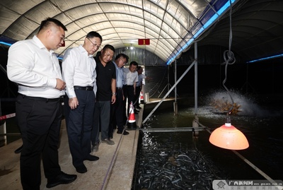 劉寧深入來賓市調(diào)研