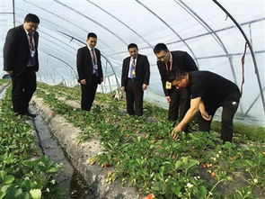 江蘇金融國企創(chuàng)新模式 輸血 三農(nóng)