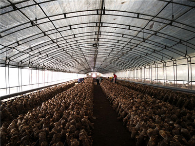 踐行綠色發展 守護碧水藍天 山西省首個環保產業示范基地掛牌