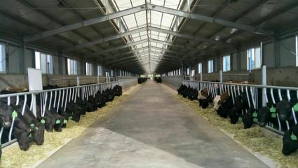 內蒙古京西農牧業榮獲2022年畜禽養殖標準化示范場稱號