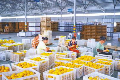 內江市市中區 激活動能 繪就縣域經濟發展新畫卷