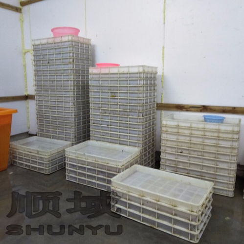 【湛江順域水產(chǎn)500畝大型沙蠶養(yǎng)殖基地】-