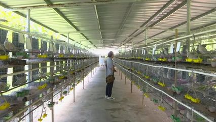 沙田鎮(zhèn)淡水村靠養(yǎng)這個發(fā)財了!年產(chǎn)值近千萬元!