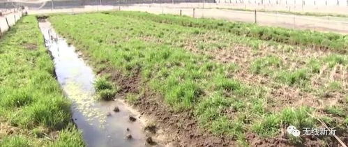 作風建設再突破 窯灣國土所 心作沃土百姓耕