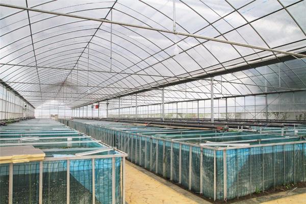 物聯(lián)網(wǎng)黃鱔養(yǎng)殖基地落地無錫金色山聯(lián)