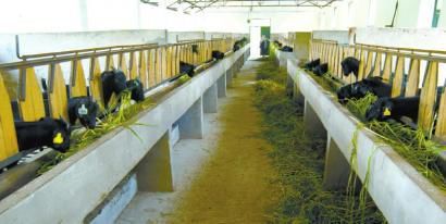 靚環境 興產業 強項目 駱市打造川東北文旅重鎮(組圖)