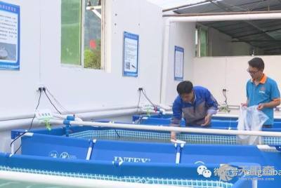 重慶弘凡生態農業開發有限責任公司