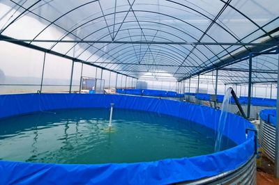 江西都昌:推進(jìn)產(chǎn)業(yè)融合發(fā)展,打造綠色宜居三汊港